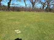 ridgeway