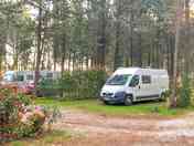 Pitches on site