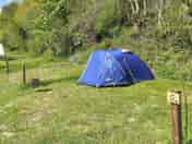 Our tiny pitches are perfect for backpackers or bikers, or anyone who has a small 2 man tent. 3m x3m (added by manager 16 May 2023)