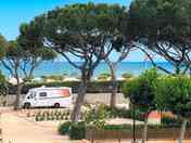 'Sleep and go' pitches under the trees