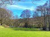 Camping field shaded by trees