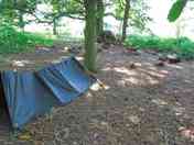 Woodland camp