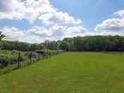 Well-kept level camping field