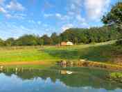 Bracken yurt. View from swimming lake.