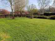 Grass pitches