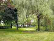 Grass pitches