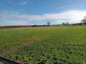 Camping field