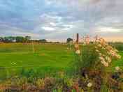 Mown level pitches