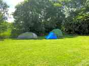 Grassy pitches