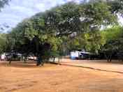 Pitches among the trees