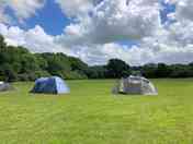 Spacious grass pitches, 6 pitches in 3 acres