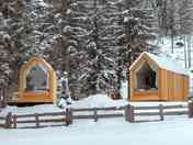 Forest Cabin