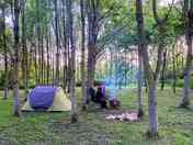 Camping in the woodland