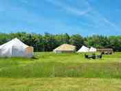 Long meadow grass and wildflowers separating the tents (added by manager 22 Sep 2022)