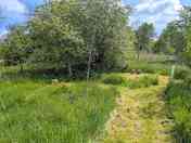 A secluded pitch for up to six