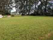 Camping meadow surrounded by trees