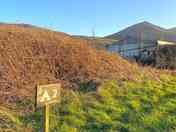 Some of the grassy pitches