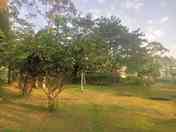 Grass camping pitches