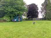 The site