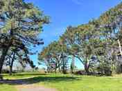 Touring pitches among the trees