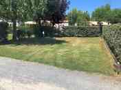 Pitches divided by greenery