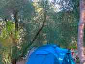 piazzola tenda