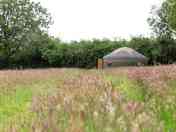 Yurt exterior