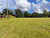Grass pitches