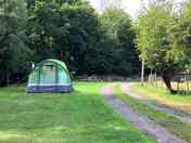 Pitches surrounded by trees