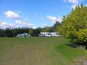Grassy pitches