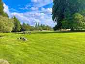 Grass pitches