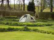 Camp out on the lawns in the Edwardian Walled Garden