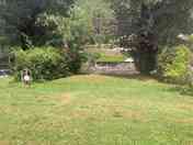 Grassy pitches