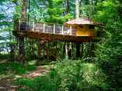 Chimpanzés treehouse (added by manager 06 Feb 2020)