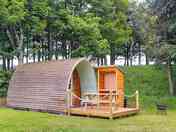 Pod backed by trees