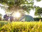 Grass pitch