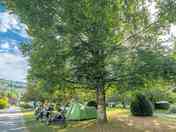Grass pitches shaded by trees