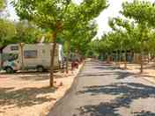 Pitches on site