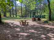 Shaded pitches with picnic tables