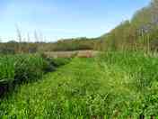 Stonechat Meadow