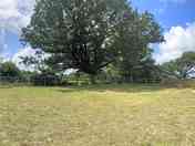 Camping area