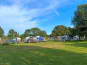 Main field