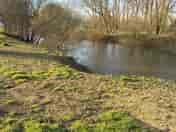 Riverside pitches - easy access to fishing and swimming (added by manager 26 Mar 2022)