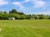 Grass pitches