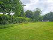 Dart Field