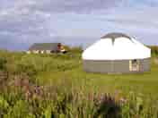 Bluebell yurt (added by manager 14 Oct 2022)