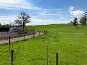 View from the site