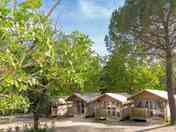 Tents among the trees