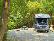Gravel space under the trees
