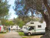 Large pitches between the trees